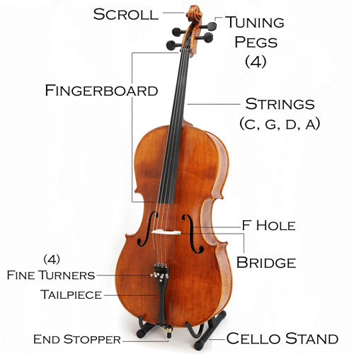 Parts of a Cello